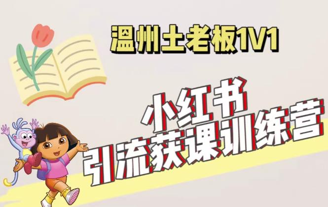 小红书1对1引流获客训练营：账号、内容、引流、成交（价值3999元）-杨大侠副业网