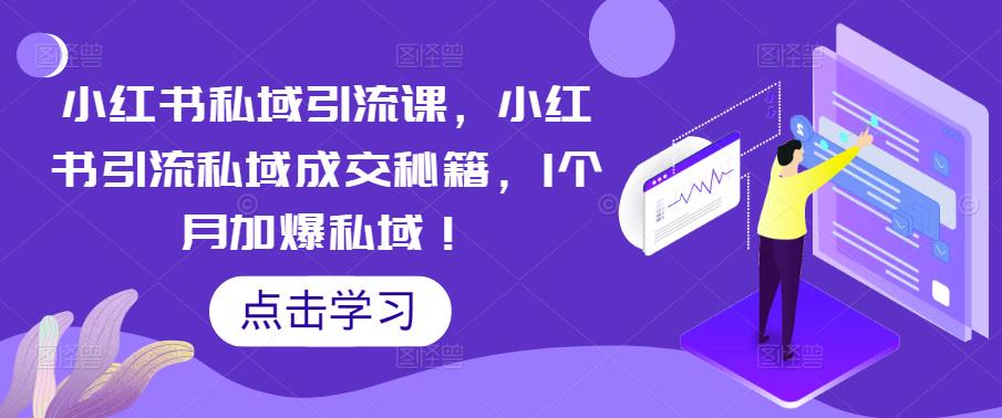 小红书私域引流课，小红书引流私域成交秘籍，1个月加爆私域！-杨大侠副业网