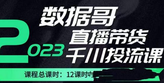 数据哥2023直播电商巨量千川付费投流实操课，快速掌握直播带货运营投放策略-杨大侠副业网