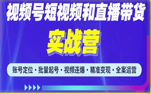 2023最新微信视频号引流和变现全套运营实战课程，小白也能玩转视频号短视频和直播运营-杨大侠副业网