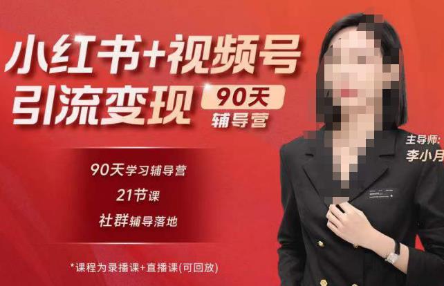 李小月小红书90天辅营导‬第七期，熟悉新媒体平台|从零到一做爆款内容|商业变现-杨大侠副业网