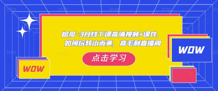 哈哥·3月线下实操课高清视频+课件，如何玩转小而美，高毛利直播间-杨大侠副业网