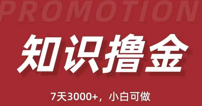 抖音知识撸金项目：简单粗暴日入1000+执行力强当天见收益(教程+资料)-杨大侠副业网