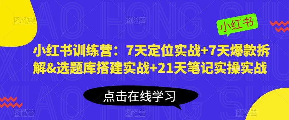 小红书训练营：7天定位实战+7天爆款拆解&选题库搭建实战+21天笔记实操实战-杨大侠副业网