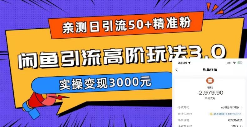 亲测日引50+精准粉，闲鱼引流高阶玩法3.0，实操变现3000元【揭秘】-杨大侠副业网