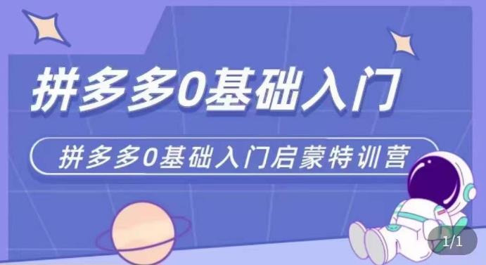 拼多多运营0-1实操特训营，拼多多0基础入门，从基础到进阶的可实操玩法-杨大侠副业网