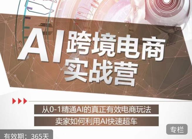 白龙老师·AI跨境电商实战营：从0-1精通Al的真正有效电商玩法，卖家如何利用Al快速超车-杨大侠副业网