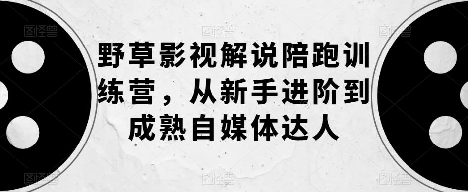 野草影视解说陪跑训练营，从新手进阶到成熟自媒体达人-杨大侠副业网