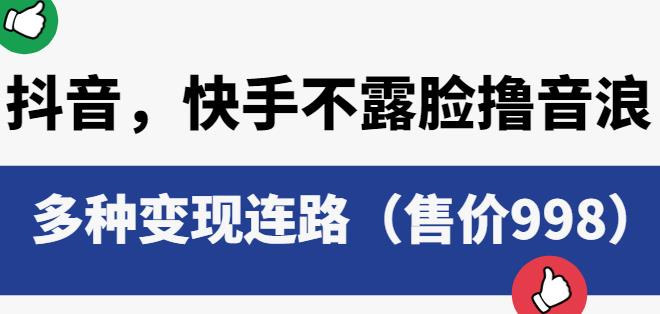 抖音快手不露脸撸音浪项目，多种变现连路（售价998）-杨大侠副业网