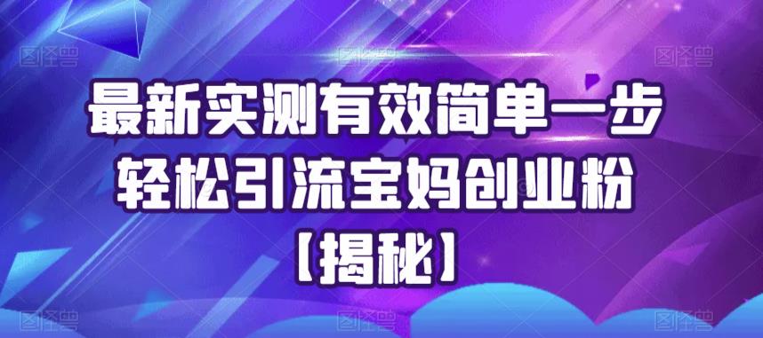 最新实测有效简单一步轻松引流宝妈创业粉【揭秘】-杨大侠副业网