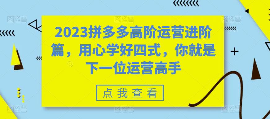 2023拼多多高阶运营进阶篇，用心学好四式，你就是下一位运营高手-杨大侠副业网