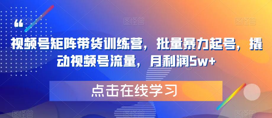 视频号矩阵带货训练营，批量暴力起号，撬动视频号流量，月利润5w+-杨大侠副业网