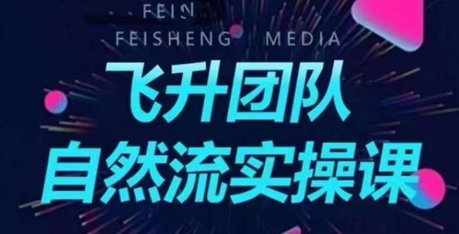 飞升团队课程自然流实操课，抖音半无人起号主播间搭建教学-杨大侠副业网