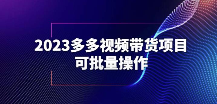 2023多多视频带货项目，可批量操作【保姆级教学】【揭秘】-杨大侠副业网