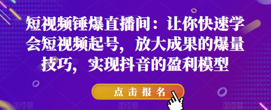 短视频锤爆直播间：让你快速学会短视频起号，放大成果的爆量技巧，实现抖音的盈利模型-杨大侠副业网