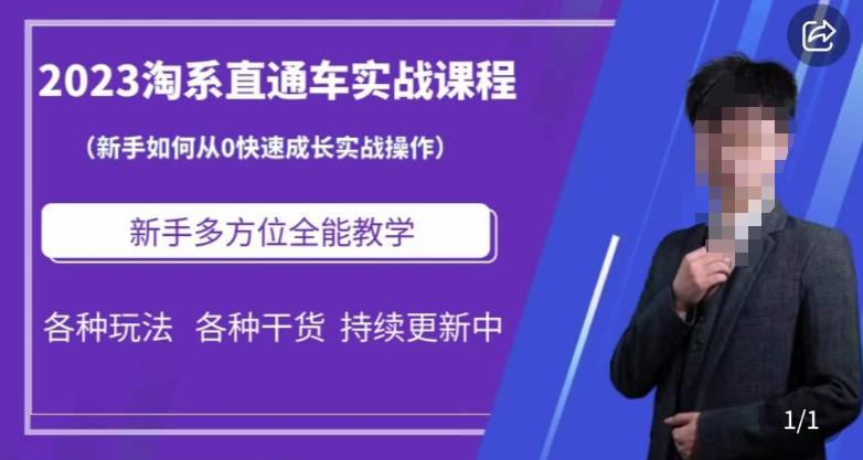 2023淘系直通车保姆式运营讲解，新手如何从0快速成长实战操作，新手多方位全能教学-杨大侠副业网