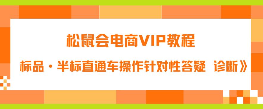 松鼠会电商VIP教程：松鼠《付费推广标品·半标直通车操作针对性答疑&诊断》-杨大侠副业网