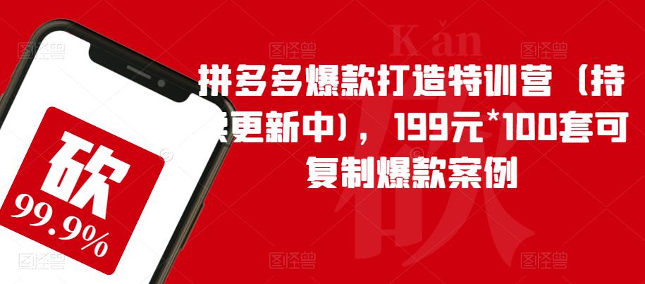 拼多多爆款打造特训营（持续更新中)，199元*100套可复制爆款案例-杨大侠副业网