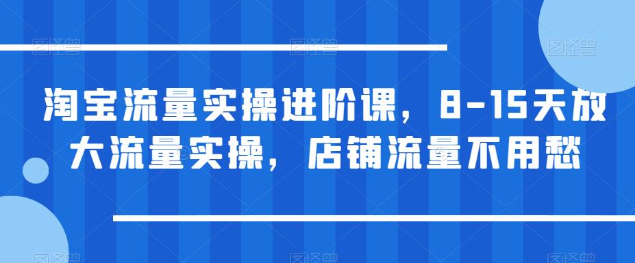 淘宝流量实操进阶课，8-15天放大流量实操，店铺流量不用愁-杨大侠副业网