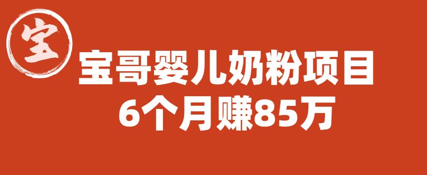 宝哥婴儿奶粉项目，6个月赚85w【图文非视频】【揭秘】-杨大侠副业网