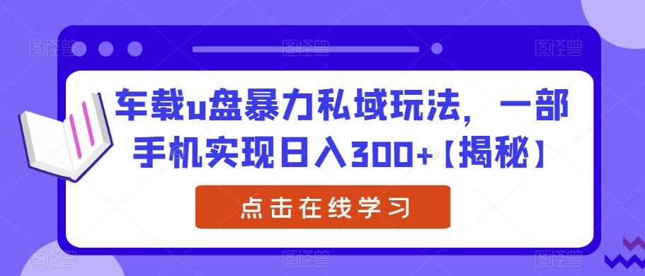 车载u盘暴力私域玩法，一部手机实现日入300+【揭秘】-杨大侠副业网