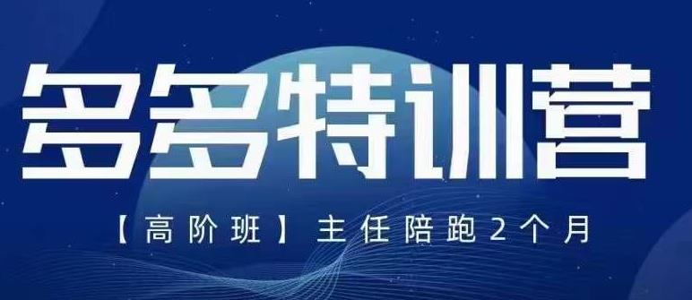 纪主任·5月最新多多特训营高阶班，玩法落地实操，多多全掌握-杨大侠副业网