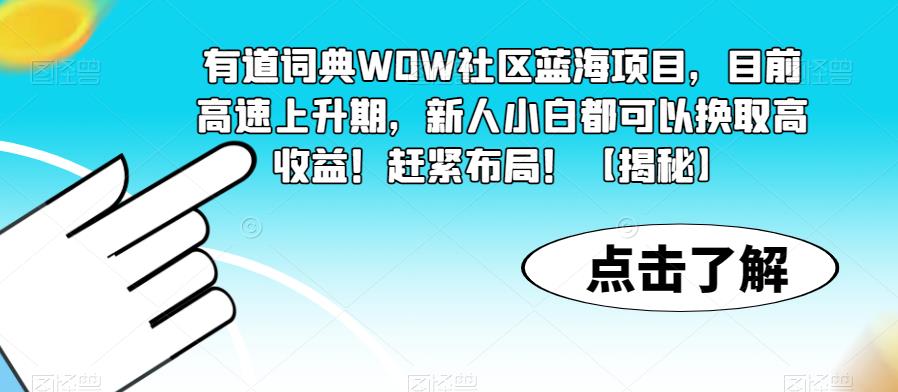 有道词典WOW社区蓝海项目，目前高速上升期，新人小白都可以换取高收益！赶紧布局！【揭秘】-杨大侠副业网