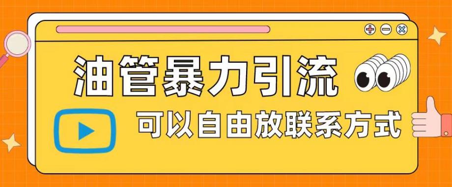 油管暴力引流，可以自由放联系方式【揭秘】-杨大侠副业网