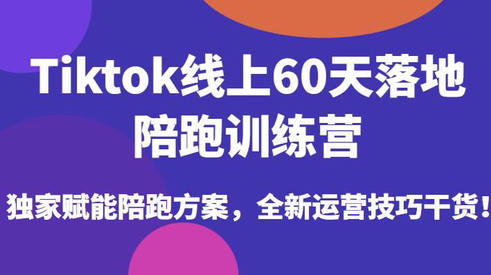 Tiktok线上60天落地陪跑训练营，独家赋能陪跑方案，全新运营技巧干货-杨大侠副业网