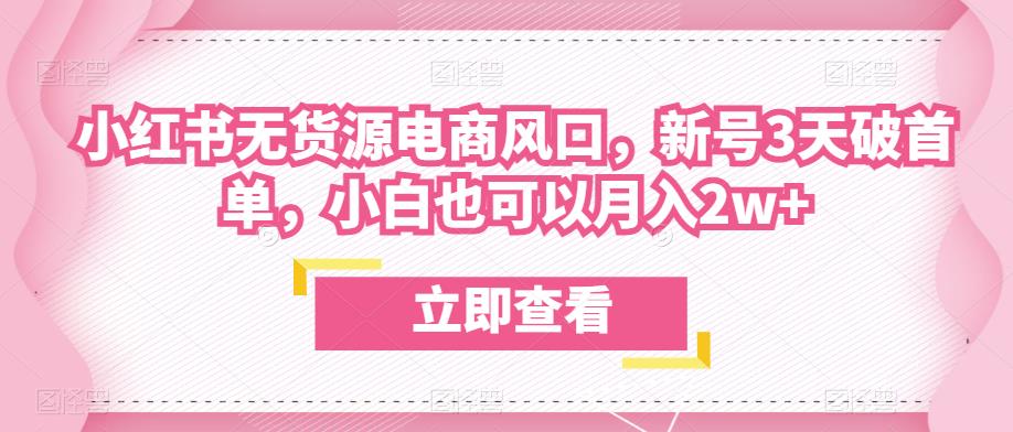 众狼电商余文小红书无货源电商风口，新号3天破首单，小白也可以月入2w+-杨大侠副业网