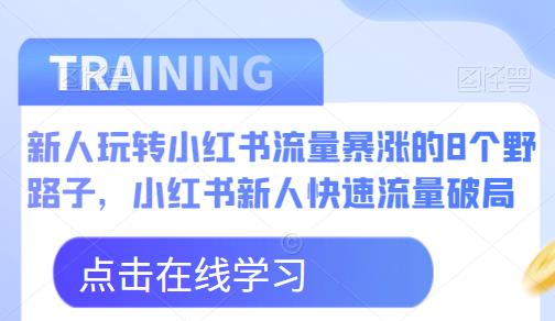 新人玩转小红书流量暴涨的8个野路子，小红书新人快速流量破局-杨大侠副业网