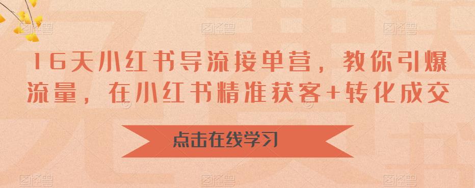 16天小红书导流接单营，教你引爆流量，在小红书精准获客+转化成交-杨大侠副业网