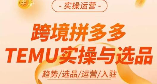 伍跃·跨境拼多多TEMU实操与选品，​趋势/选品/运营/入住（27节完整）-杨大侠副业网