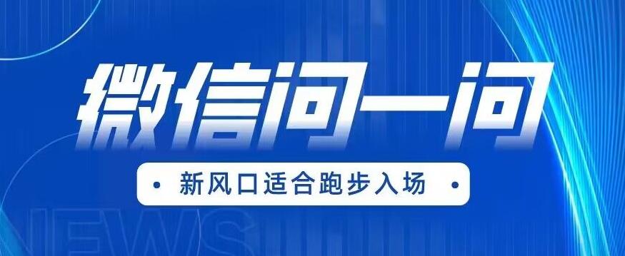 全网首发微信问一问新风口变现项目（价值1999元）【揭秘】-杨大侠副业网