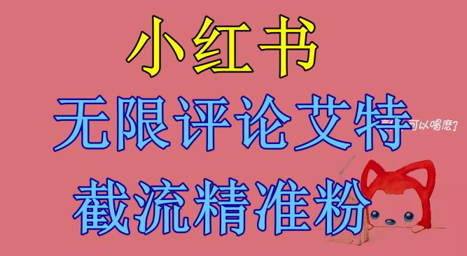 小红书无限评论艾特截流精准粉（软件+教程）-杨大侠副业网