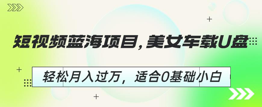 短视频蓝海项目，美女车载U盘，轻松月入过万，适合0基础小白【揭秘】-杨大侠副业网