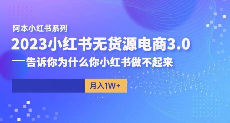 阿本小红书无货源电商3.0，告诉你为什么你小红书做不起来-杨大侠副业网