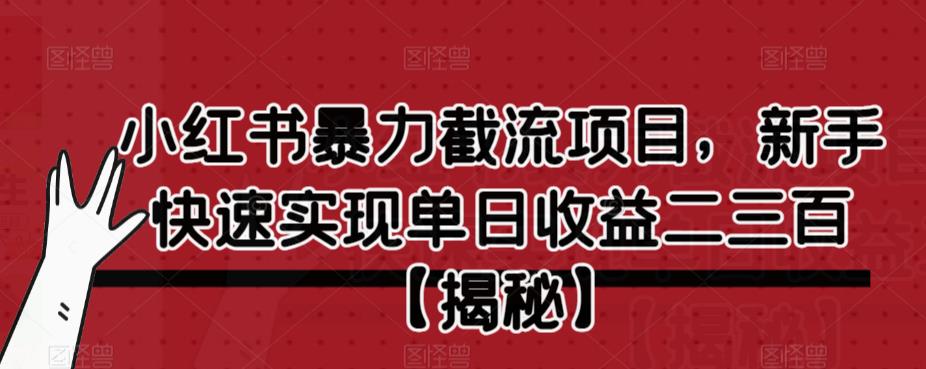 小红书暴力截流项目，新手快速实现单日收益二三百【仅揭秘】-杨大侠副业网