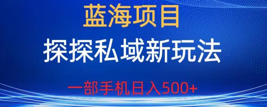 蓝海项目，探探私域新玩法，一部手机日入500+很轻松【揭秘】-杨大侠副业网