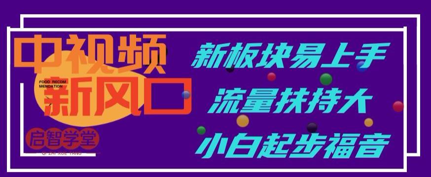 中视频新风口，新板块易上手，流量扶持大，小白起步福音【揭秘】-杨大侠副业网