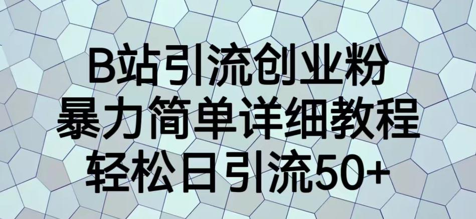 B站引流创业粉，暴力简单详细教程，轻松日引流50+【揭秘】-杨大侠副业网