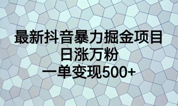 最新抖音暴力掘金项目，日涨万粉，一单变现500+【揭秘】-杨大侠副业网