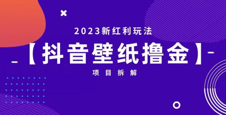 抖音壁纸小程序创作者撸金项目，2023新红利玩法【项目拆解】-杨大侠副业网