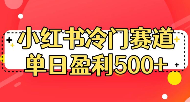 小红书冷门赛道，单日盈利500+【揭秘】-杨大侠副业网