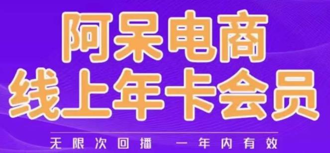 阿呆电商线上年会员，阿呆电商干货分享（更新中）-杨大侠副业网