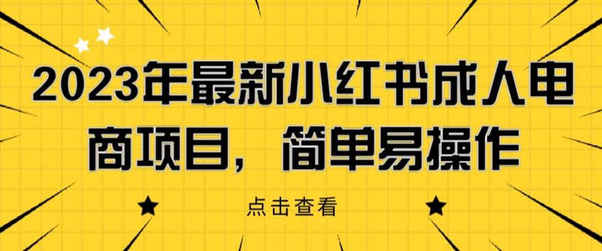 2023年最新小红书成人电商项目，简单易操作【详细教程】【揭秘】-杨大侠副业网