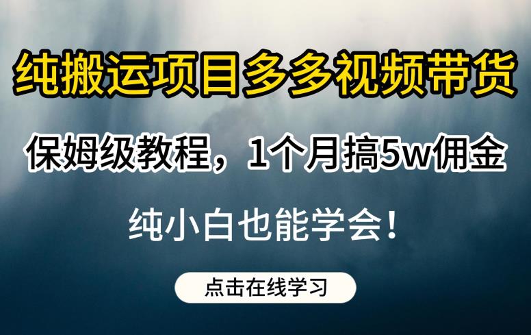 纯搬运项目多多视频带货保姆级教程，1个月搞5w佣金，纯小白也能学会【揭秘】-杨大侠副业网