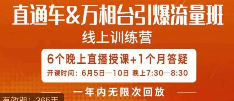 直通车&万相台引爆流量班，6天打通你开直通车·万相台的任督二脉-杨大侠副业网