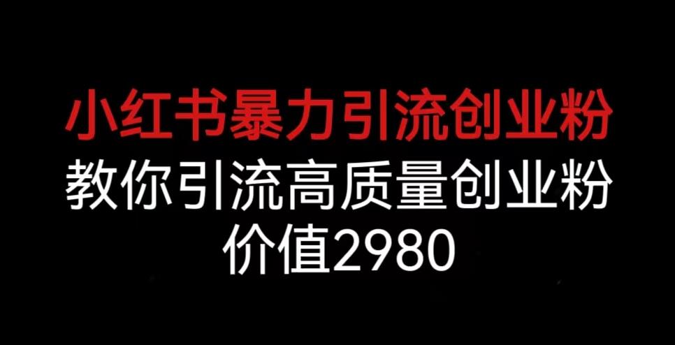 小红书暴力引流创业粉，教你引流高质量创业粉，价值2980【揭秘】-杨大侠副业网