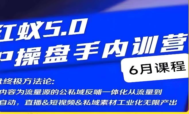 红蚁5.0IP操盘手内训营，IP操盘终极方法论-杨大侠副业网